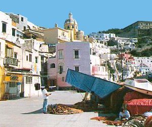 La cupola vista dalla marina